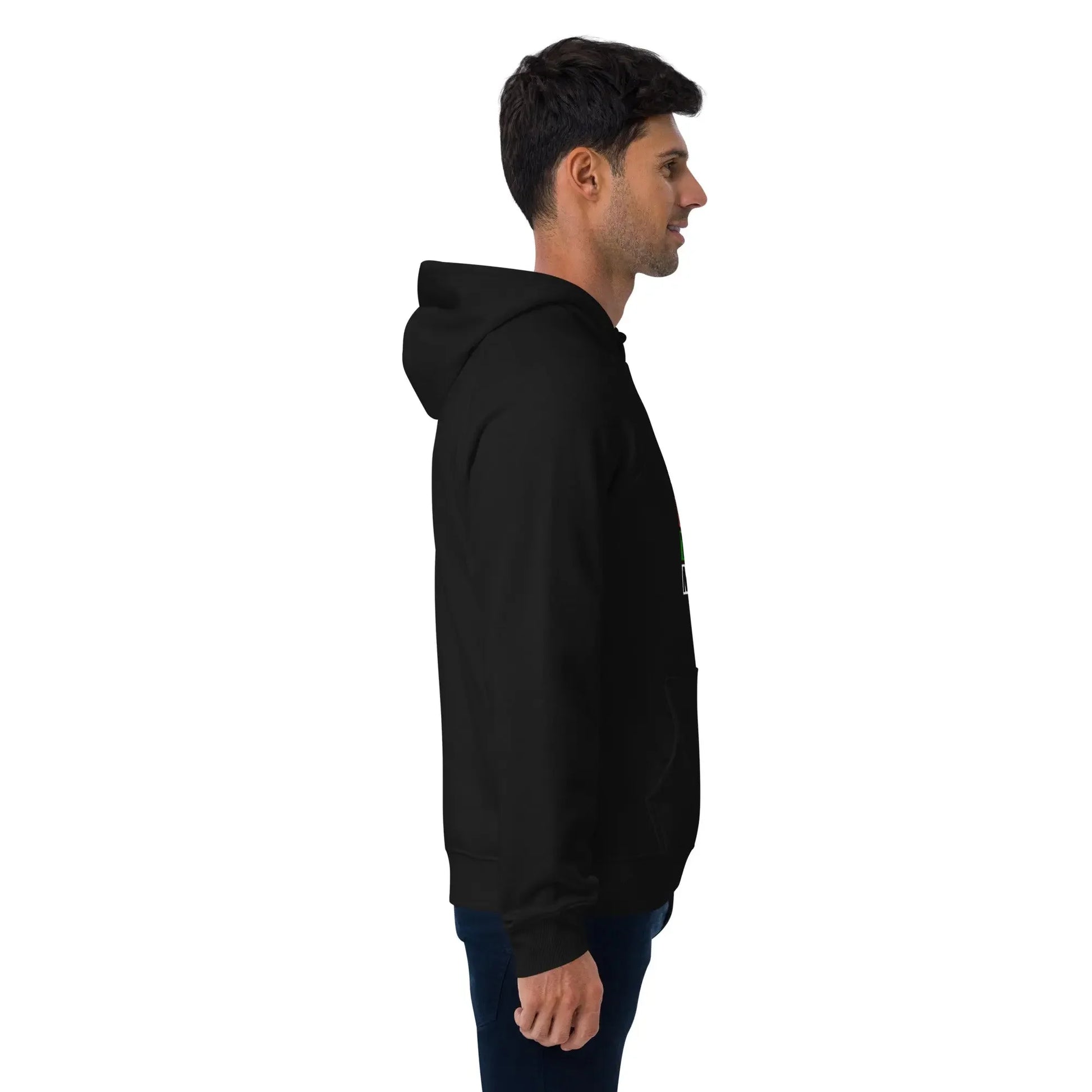 Unisex Eco Raglan Hoodie - Hinnulus