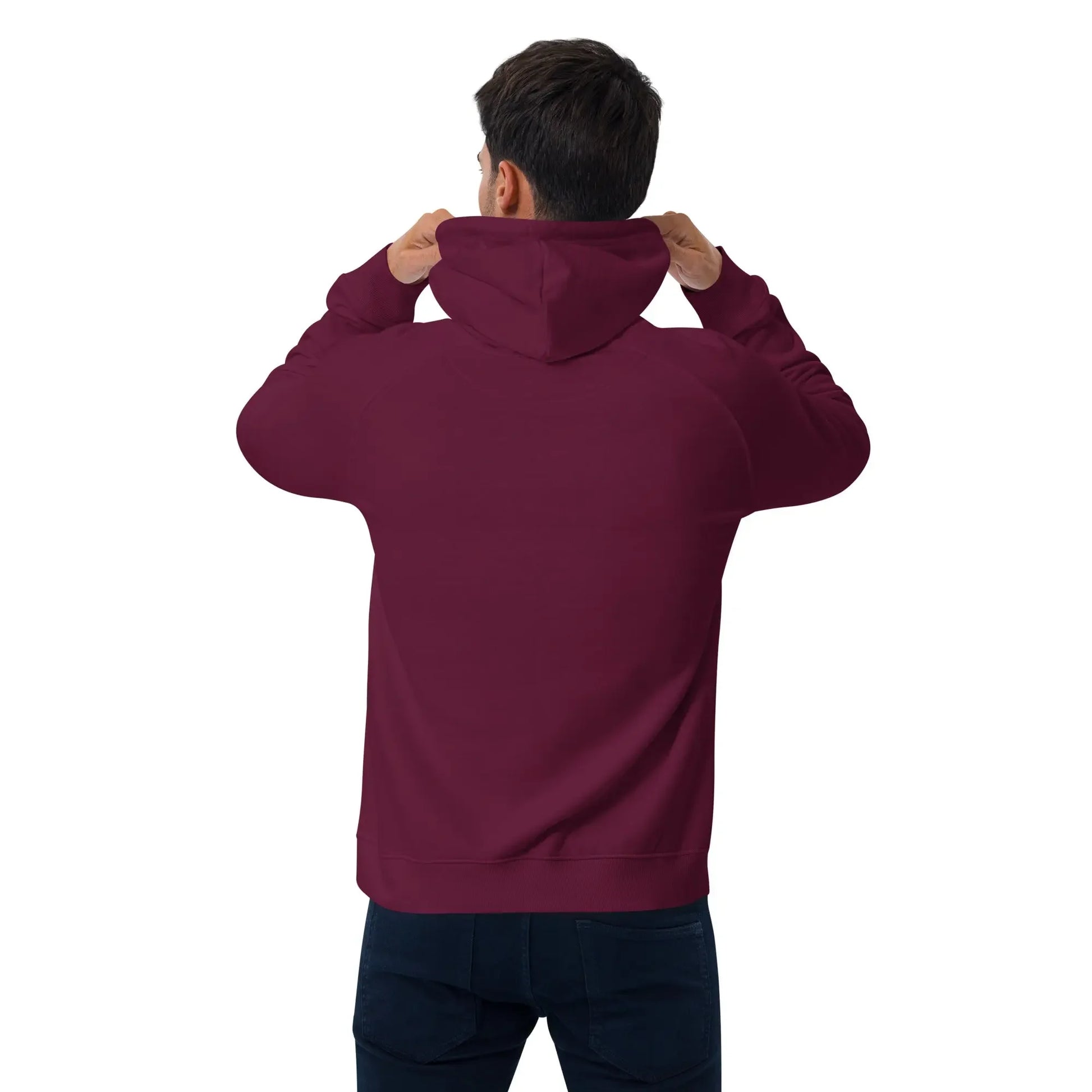 Unisex Eco Raglan Hoodie - Hinnulus