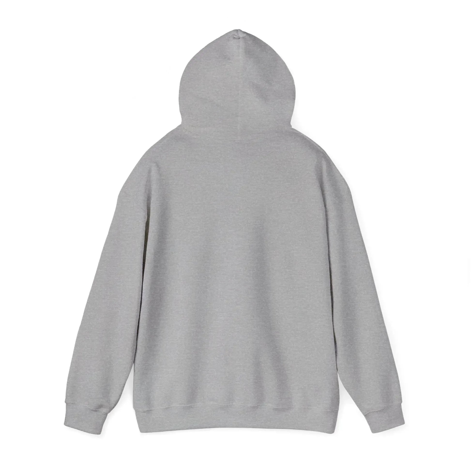Unisex Heavy Blend™ Hooded Sweatshirt - Hinnulus